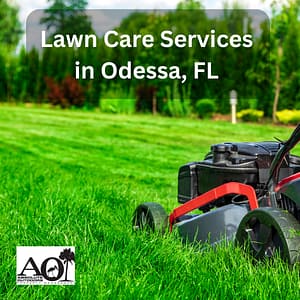Lawn Care Services in Odessa, FL