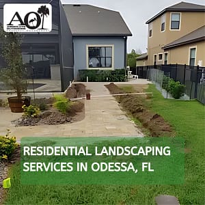 residential landscaping in Odessa, FL
