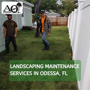 landscaping maintenance in Odessa, FL