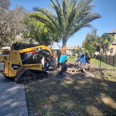 Absolute Outdoors LLC team using a yellow CAT mini loader to install a fence around a palm tree, highlighting their landscaping and fencing services in Odessa, FL.