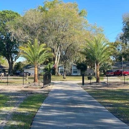 Wide driveway flanked by two palm trees leading to a house, with lush green trees and a well-maintained lawn, showcasing the landscaping work of Absolute Outdoors LLC in Odessa, FL.