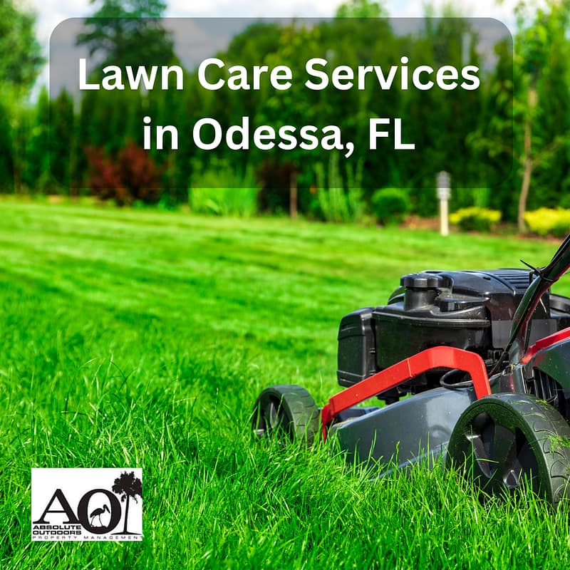 Lawn Care Services in Odessa, FL