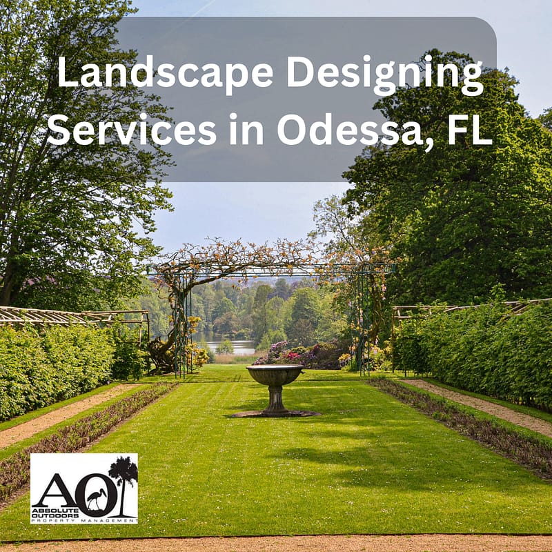 Landscape Designing Services in Odessa, FL
